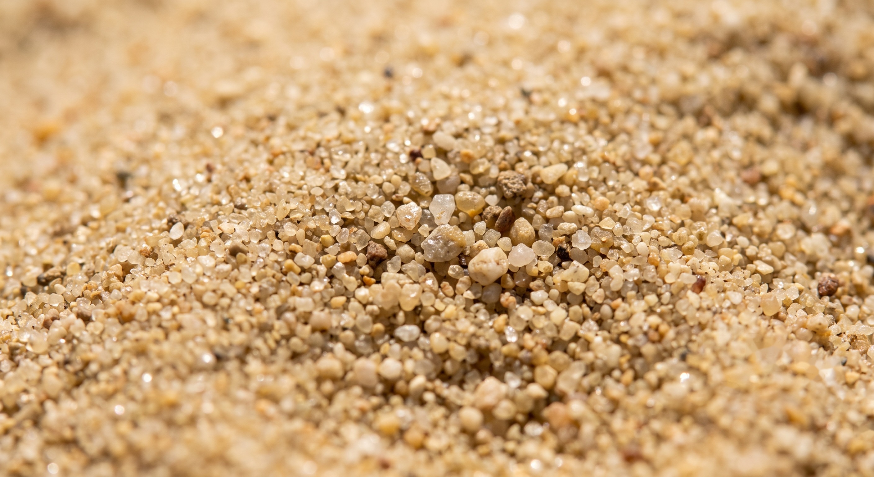 Sable de Seine